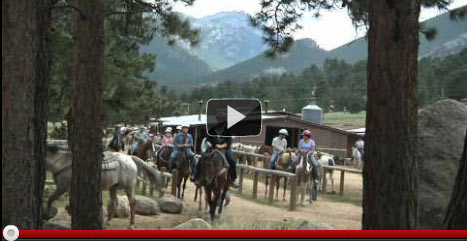 Jackson Stables Video